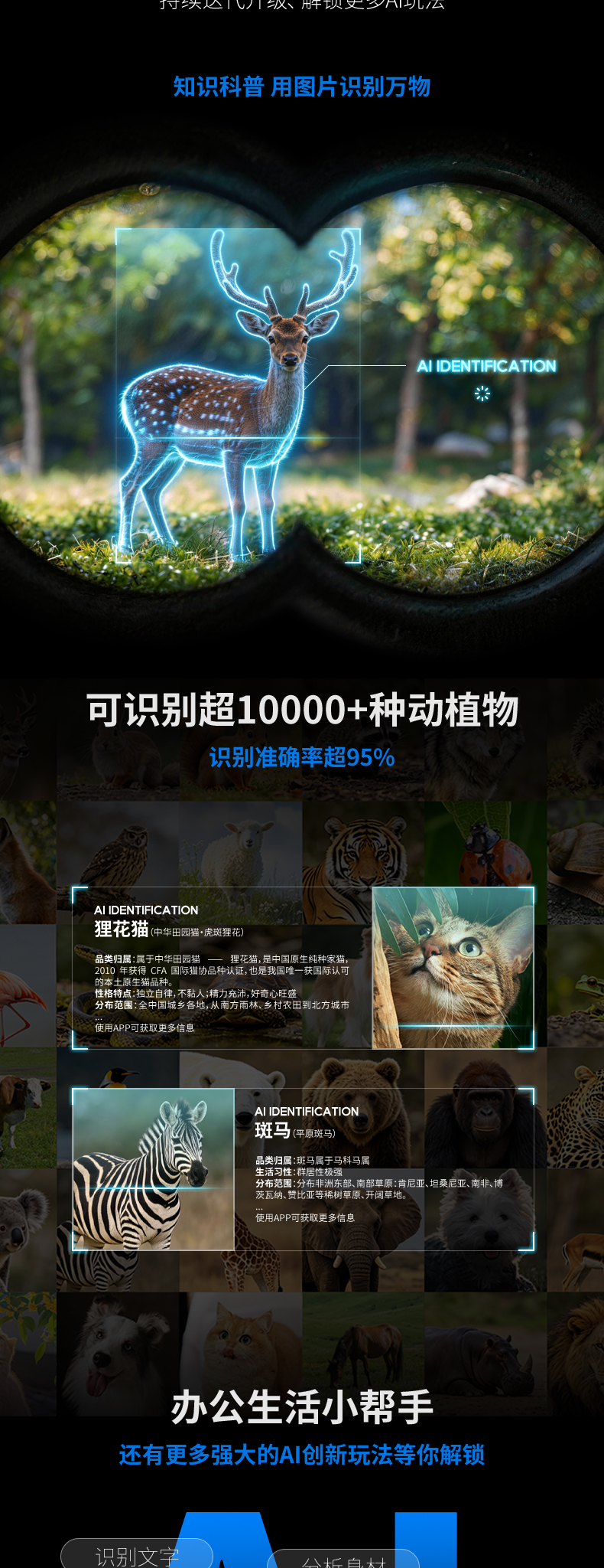 s2外包详情页_02.jpg