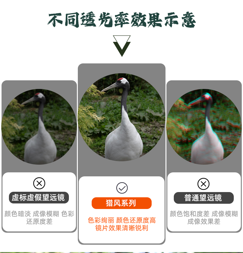 新详情页褚_04.jpg