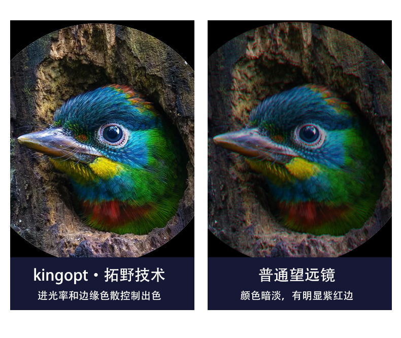 1250ED详情页褚_09.jpg