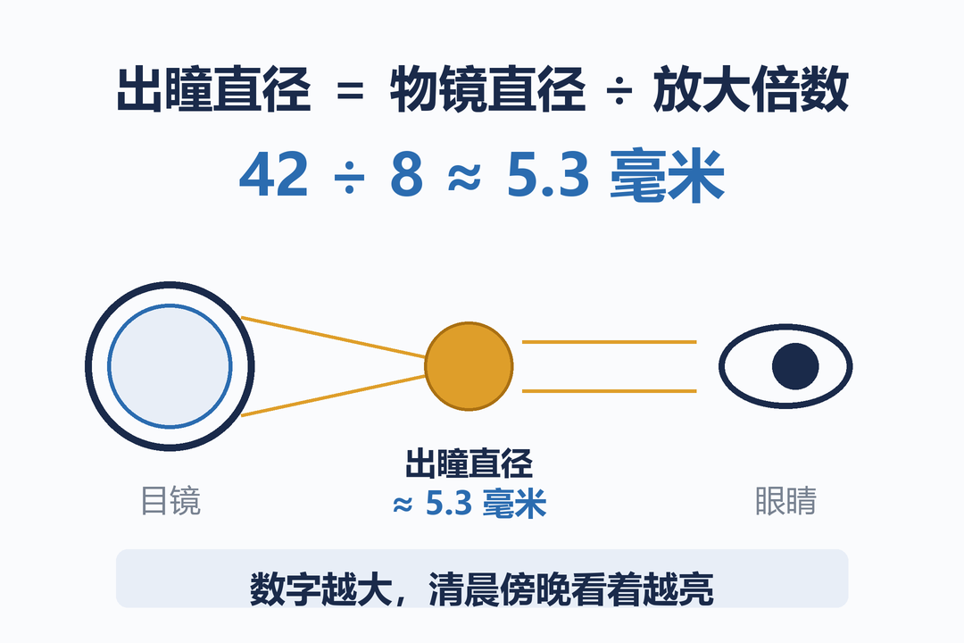 03_出瞳直径.png